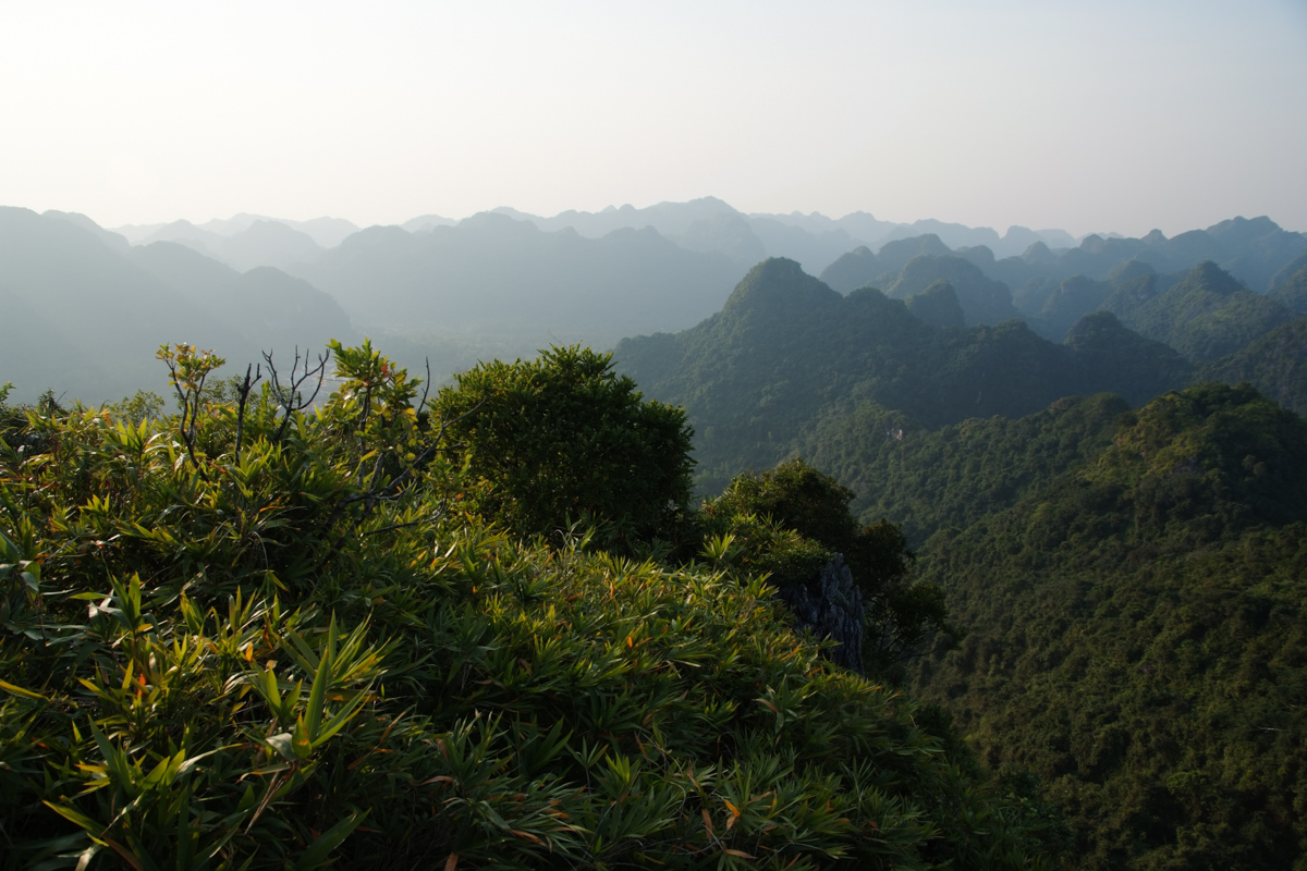Cat Ba National Park