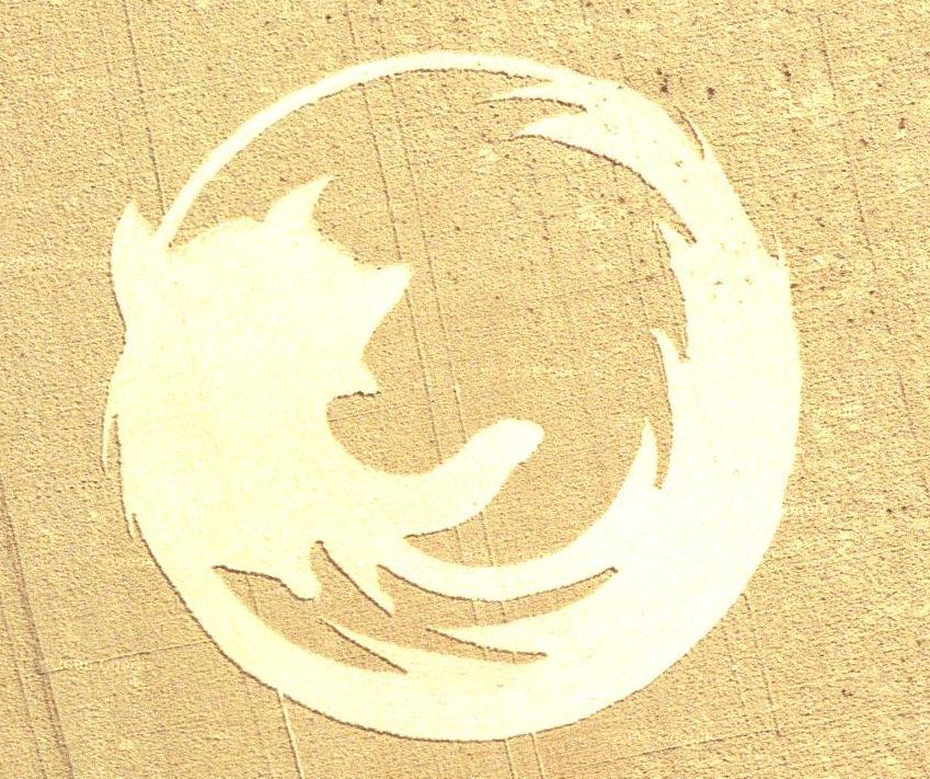 Логотип Firefox в поле
