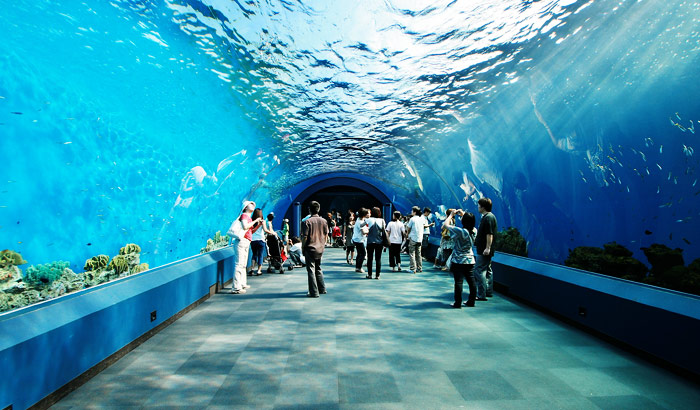 Океанариум Siam Ocean World
