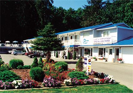 Buena Vista by the Sea