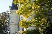 Domaine De Beauvois Saint-Etienne-de-Chigny