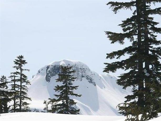 Cougar Cabin 24