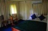 Leopard Yala Luxury Camping