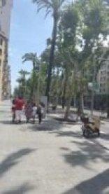 Kiwidestiny - Barcelona City