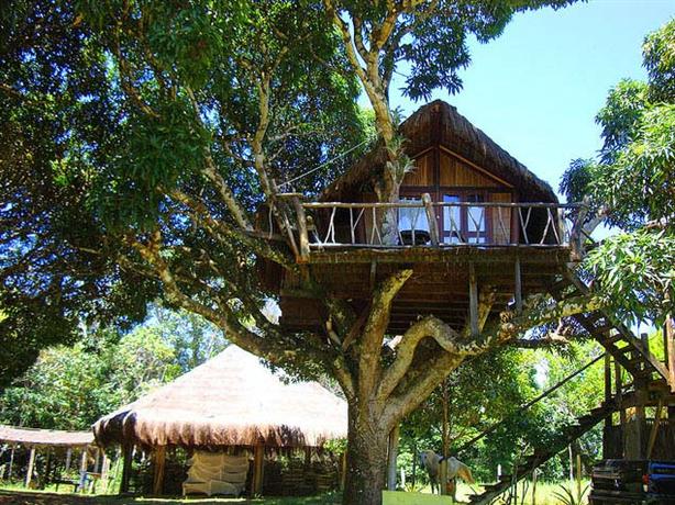Art Jungle Eco Lodge