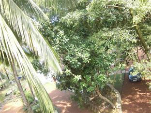 Villa Bird Nest