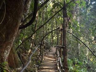 Kanneliya Mount Resort