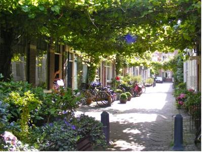 Where Els Haarlem