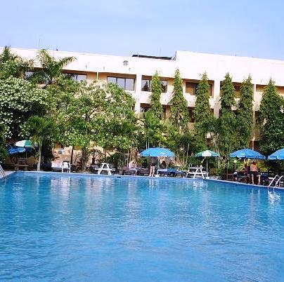 Palm Garden