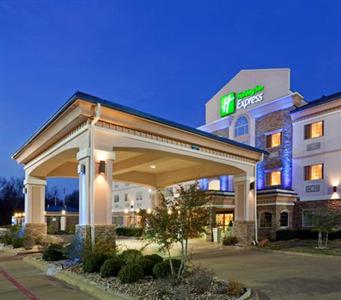 Holiday Inn Express Palestine
