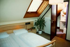 Gasthof Hotel Zur Rose Boxtal
