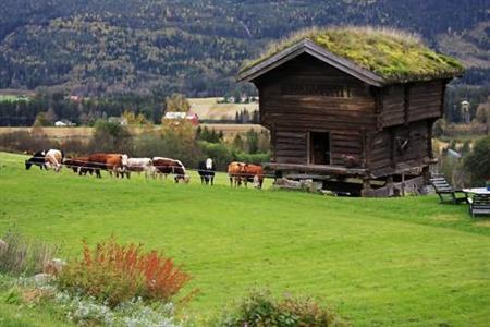 Stabbursnatt Nordli