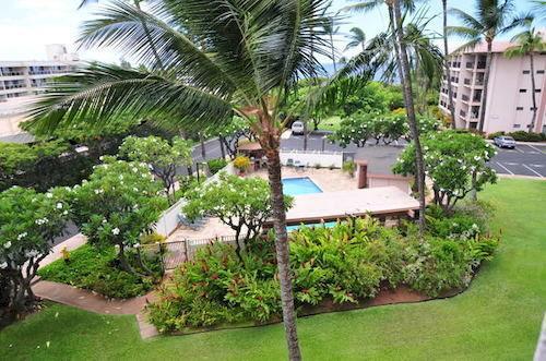 Kihei Akahi C-505
