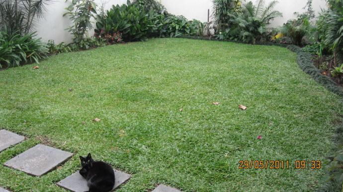 Homestay In Hauer Curitiba Curitiba