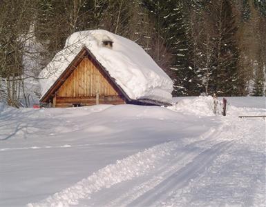 Bauernhof Familien und Wanderurlaub Ferienhof Rinnergut