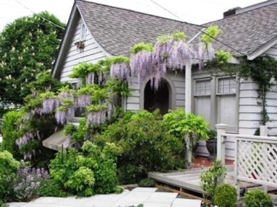 Lake Union Cottage