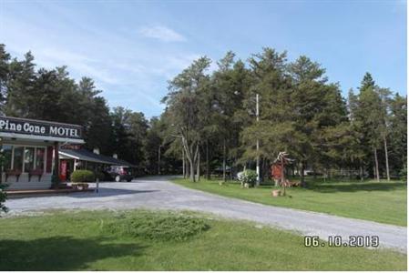 Pinecone Motel
