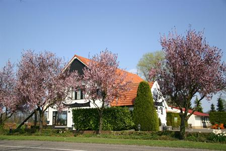 B&B Sagenland