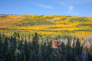 Wild Skies Cabin Rentals