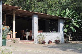 Jungle Hut