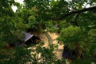Leopard Trails