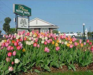 Plaza Motor Motel