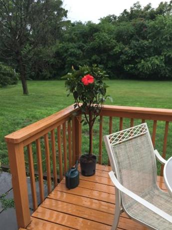 Homestay in Phoenixville near Black Rock Bridge