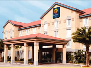 Hotel Comfort Inn Manali