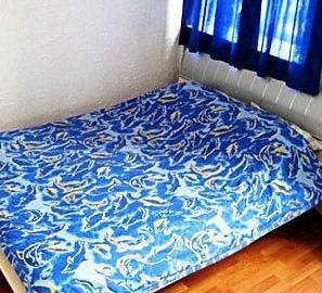 Квартира посуточно на Городецкого, 4