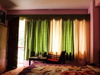Hotel Pushpak Manali