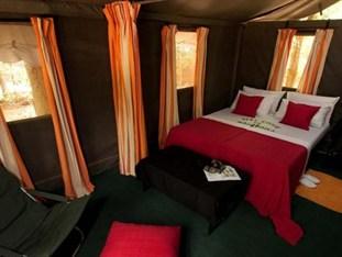 Mahoora Tented Safari Camp - Bundala