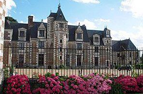Chateau De Jallanges Vernou-sur-Brenne
