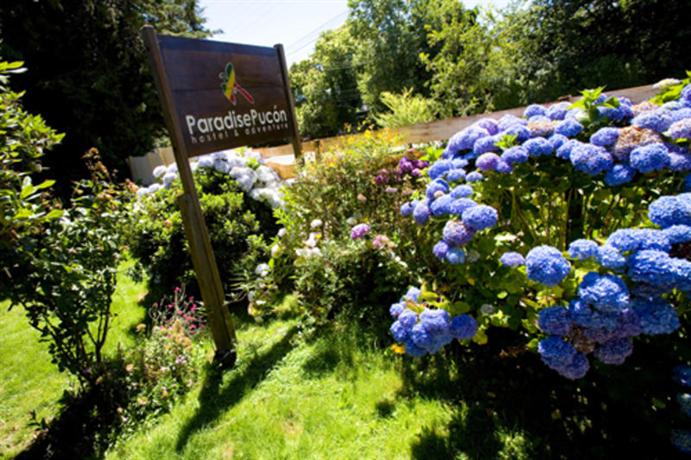 Paradise Pucon International Hostel