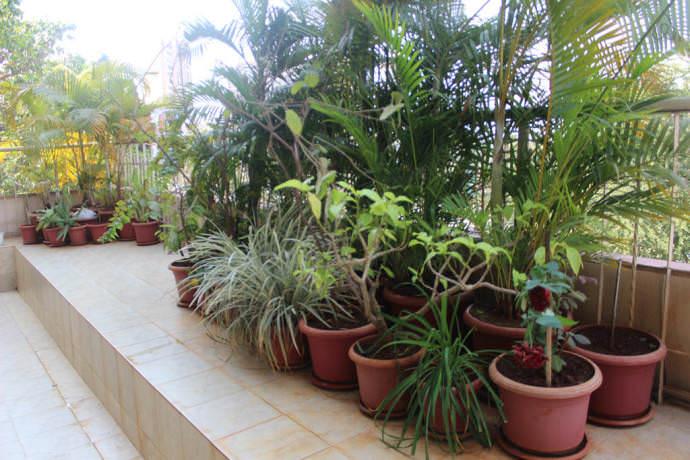 Homestay in Western Suburbs near Infinity Mall