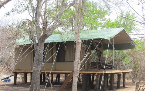 Elephant Lake Yala - Luxury Campsite Tent