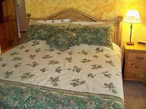 Tenderfoot Lodge Condominiums Keystone
