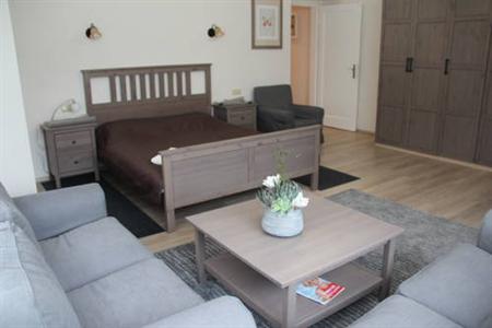 Apartment Ltava