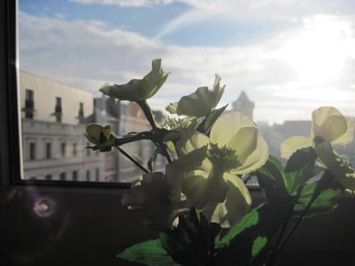 Apartament Firenze