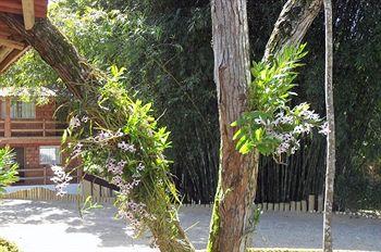 Pousada Sambaetiba