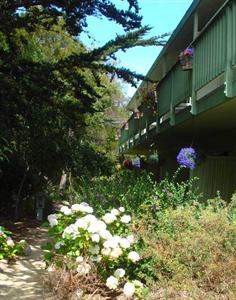 Carmel River Inn