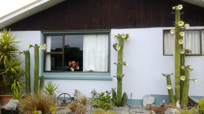 Homestay in Rangiora near Dudley Park