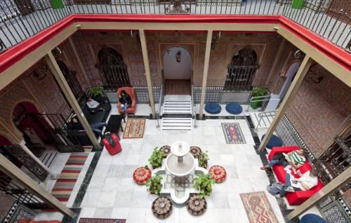 Cat's Hostel