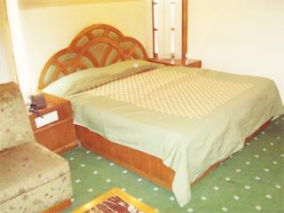 Hotel Horizon Mussoorie