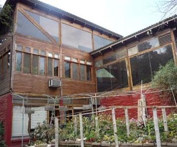Saiananda