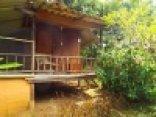 GreenHouse@pai