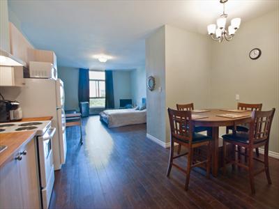 Spacious Open Concept NDG loft 406