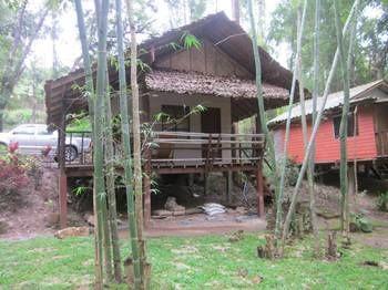 Chang Pai by John Bamboo Hut