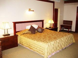 Emerald Puteri Hotel