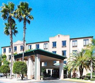 Comfort Suites Tampa