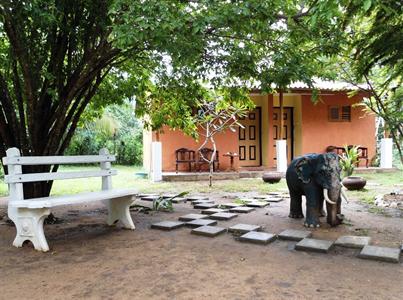 Elephant Rest Udawalawa Hotel